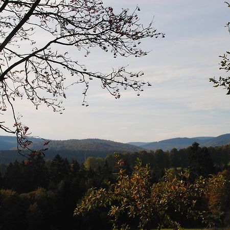 Landgasthof Gruss 브릴온 외부 사진