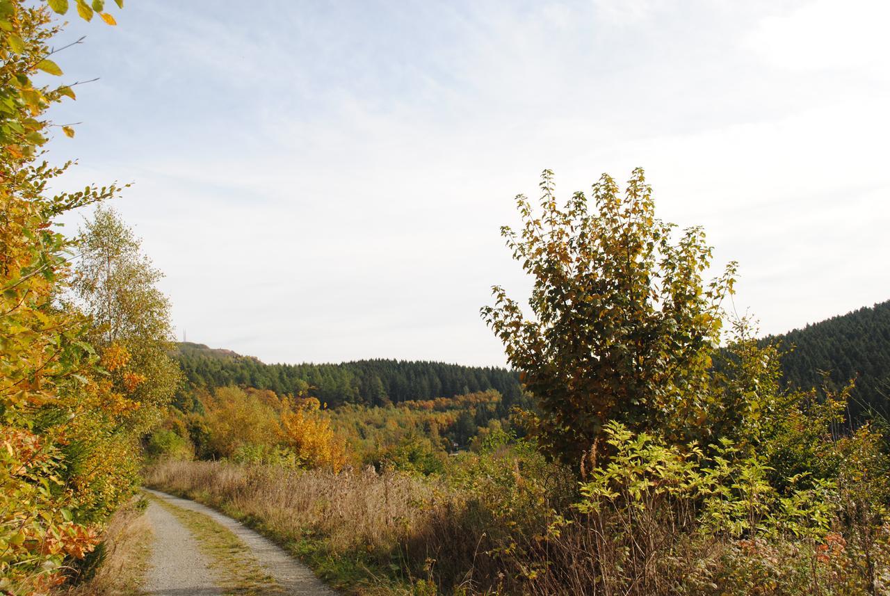Landgasthof Gruss 브릴온 외부 사진