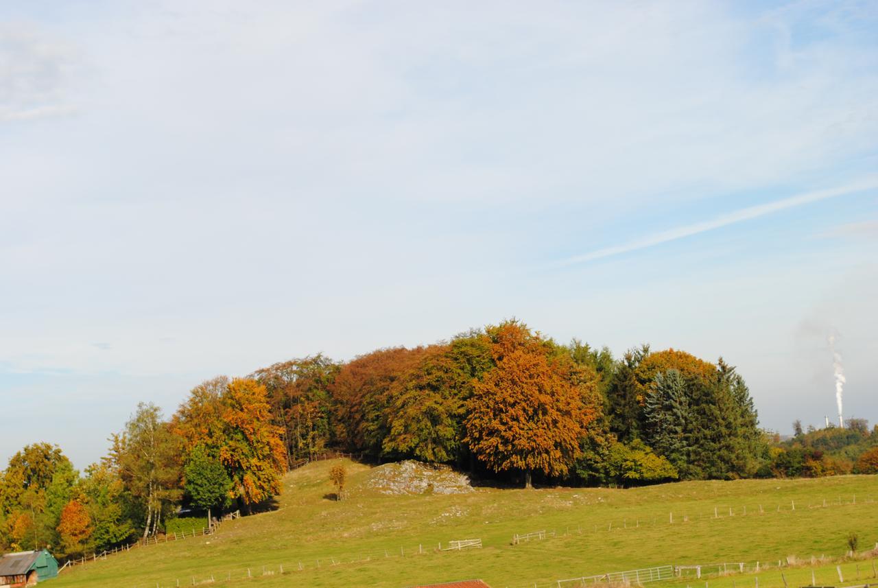 Landgasthof Gruss 브릴온 외부 사진